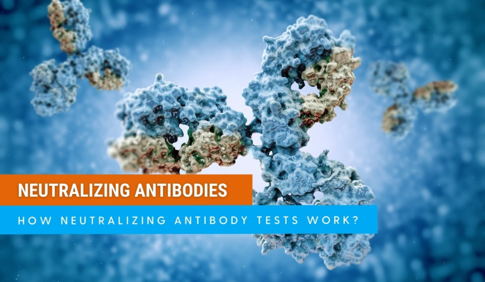 The Benefit Of Neutralizing Antibody Tests - Lighthouse Lab Services